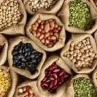 Seeds