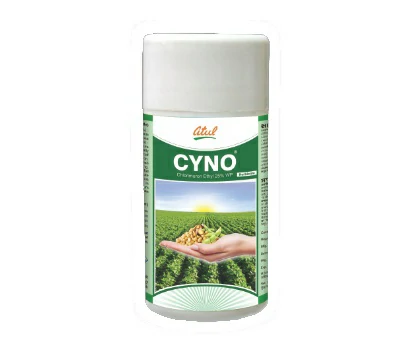 Cyno Atul